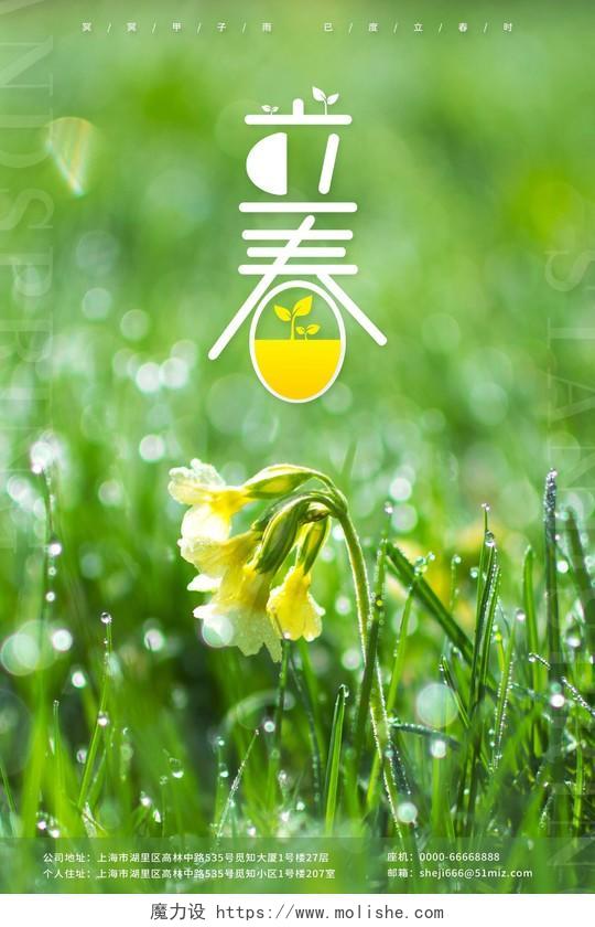 绿色立春传统二十四节气宣传海报